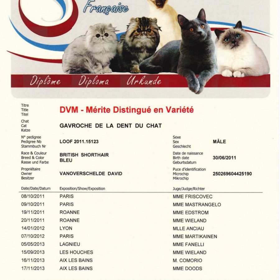 i285134164374546445-qizxr9sfcqpb8y0zxiej9yjubp0p82uimv803cyiw8