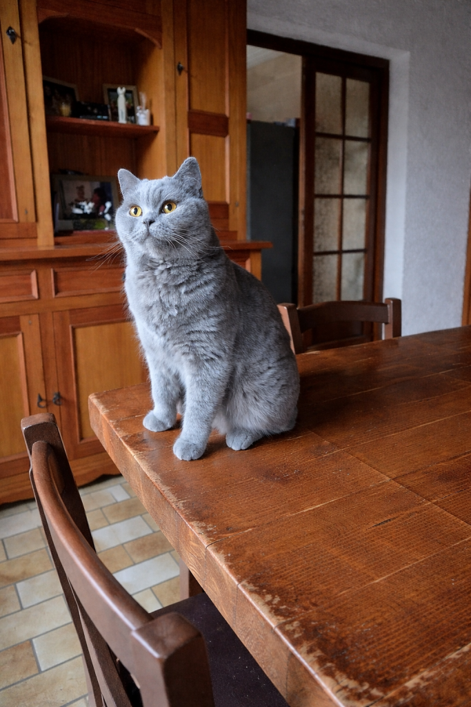 wanda 19 mars 2026 2