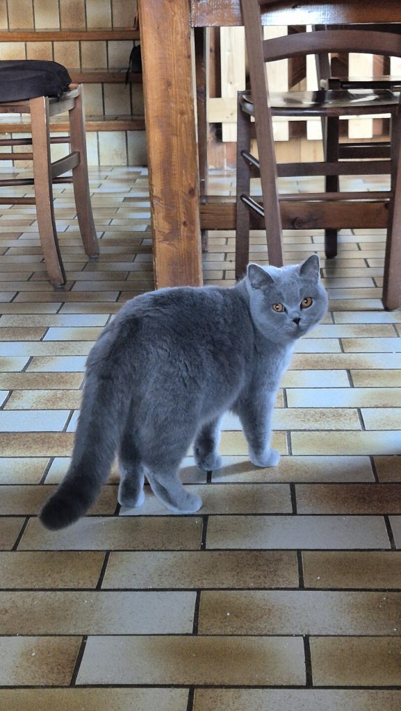 wanda 19 mars 2026 3