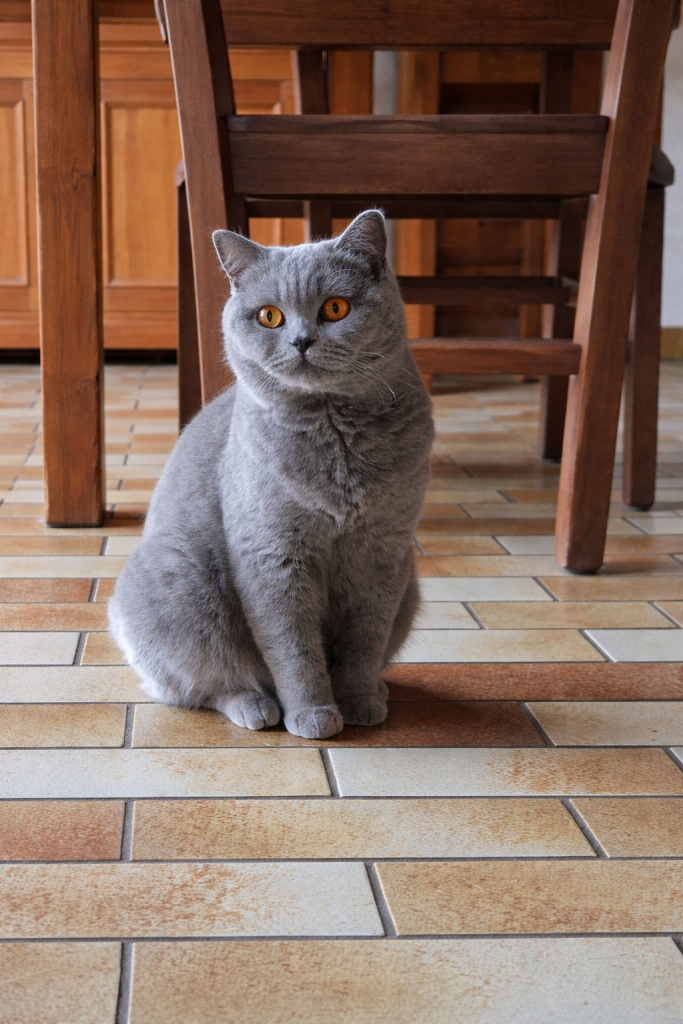 wanda 19 mars 2026 4